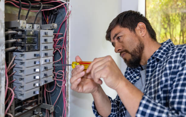 Best Electrical Panel Upgrades  in Cayuga, IN